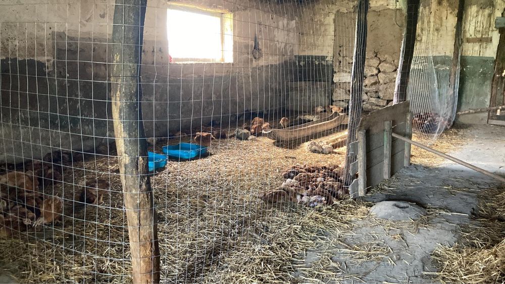 Casa si doua hectare intravilan