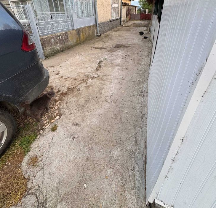 Собственик Продава Къща с 290кв.м.ЗП -9 стаи,двор 1040кв.м- с.Чернолик