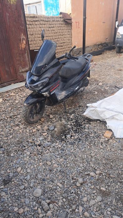 Мопед Maxi /2025/