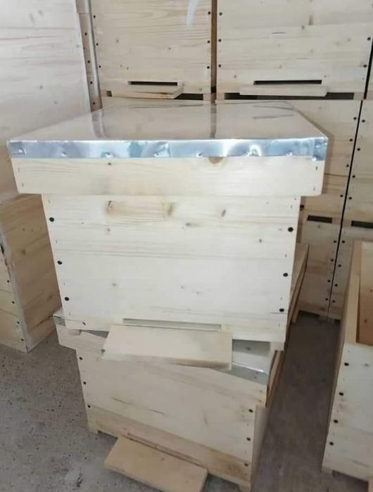 Stupi albine 1/1,3/4,1/2