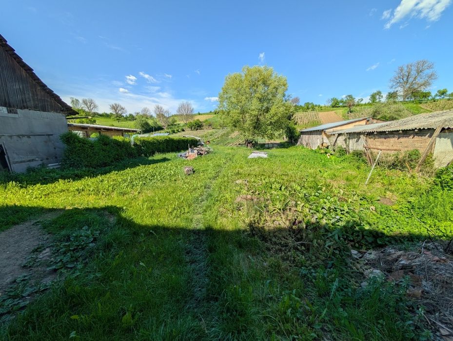 Casa de vânzare Saschiz