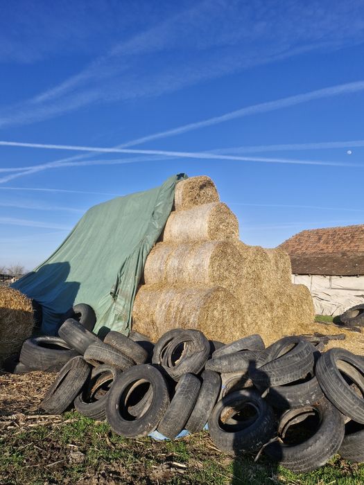Vand baloți de paie neploați