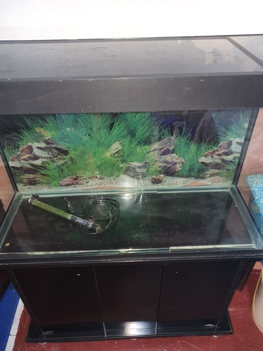 Akvarium sotiladi. Algoritm 31 kvartalda.