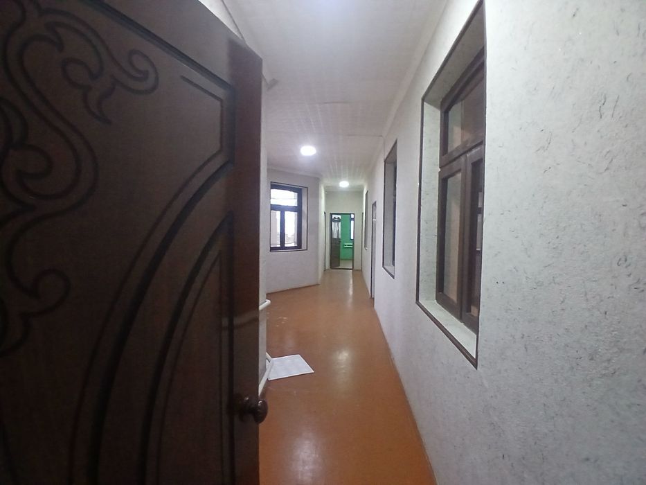 Kotej xovli!! Zamonaviy uslubda