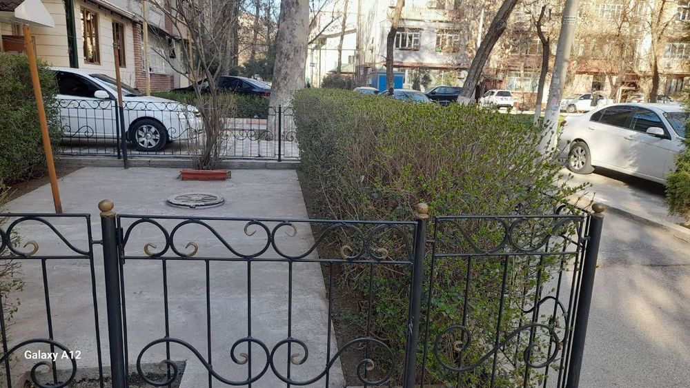 Садовник  и облагоустройство дворов