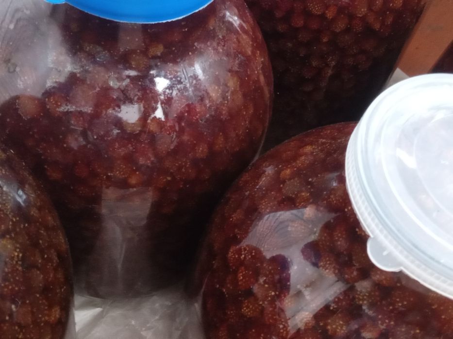 Продам варенье из лесных ягод.