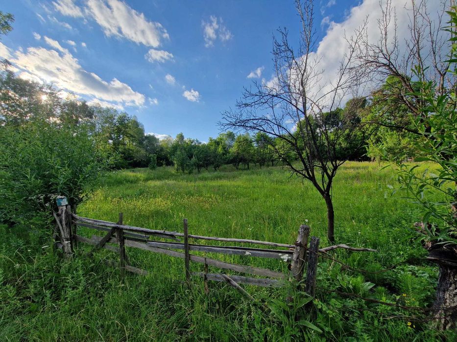 Teren de vanzare Cucuteni