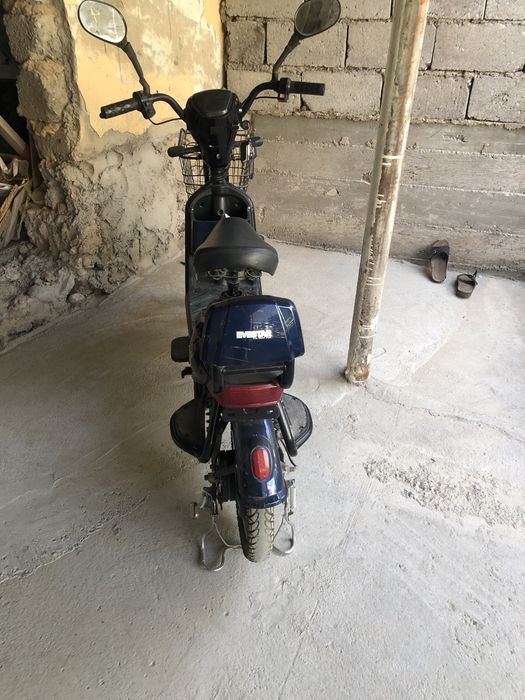 Evestar top 8 the best for