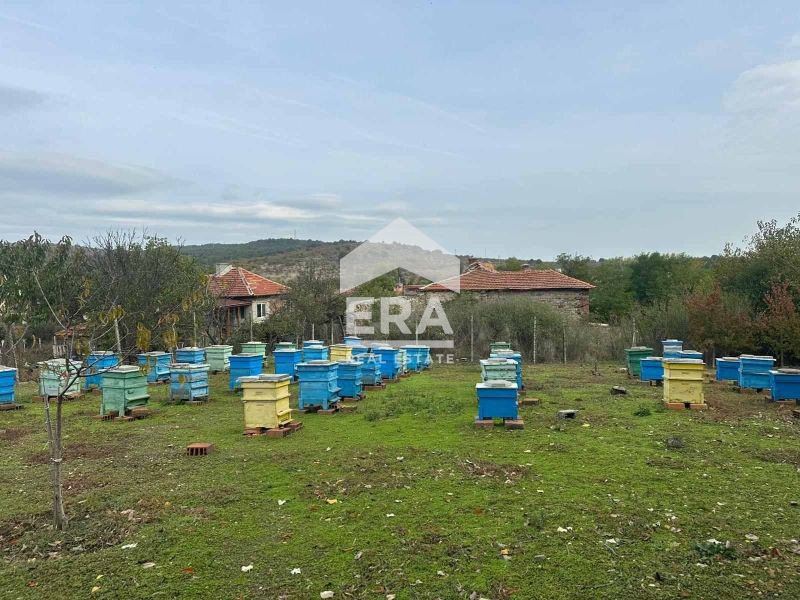 САМО В ЕРА ИМОТИ ХАСКОВО! Парцел с пчелина в село Клокотница