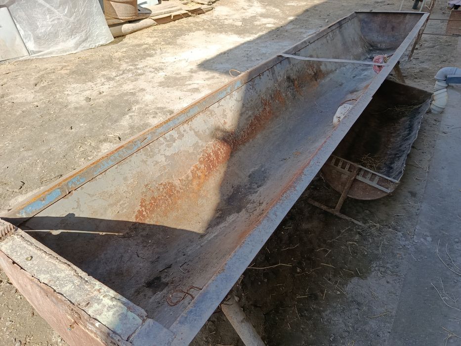 Кора моллар учун охур сотилади