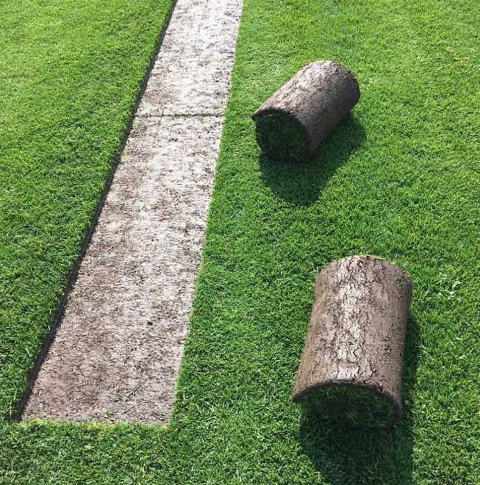 Gazon Rulou Sisteme de Irigare Profesionale Oriunde in tara