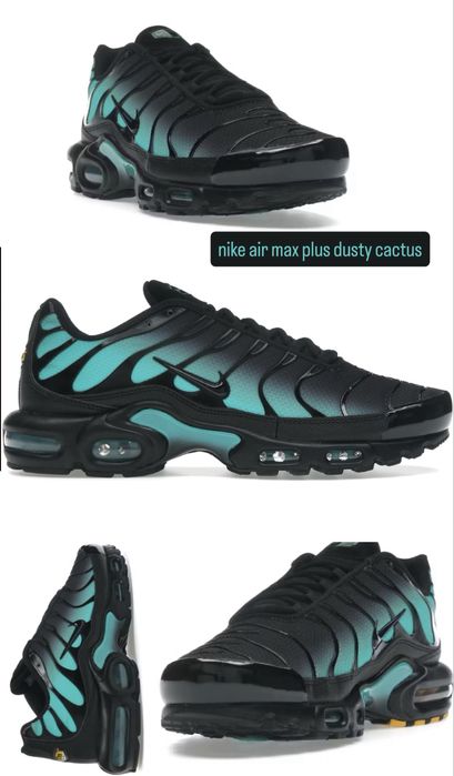 Nike Air Max Plus Dusty Cactus