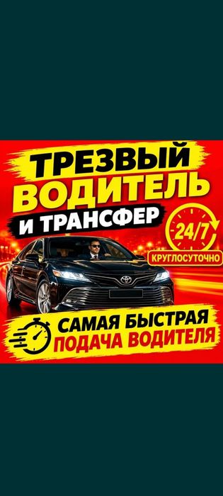Трезвый водитель