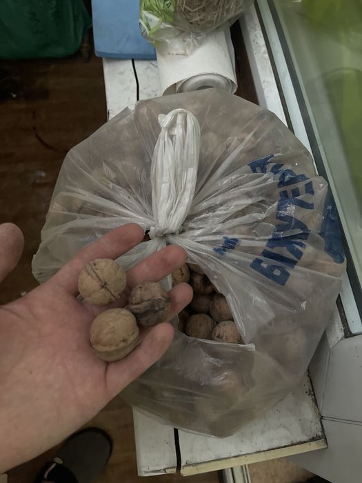 Грецкие орехи продажа