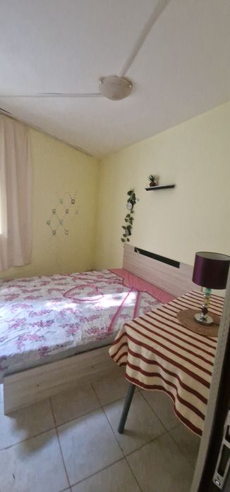 Давам стая под наем