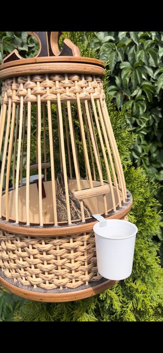 Продам италия  перепелов (бедана)