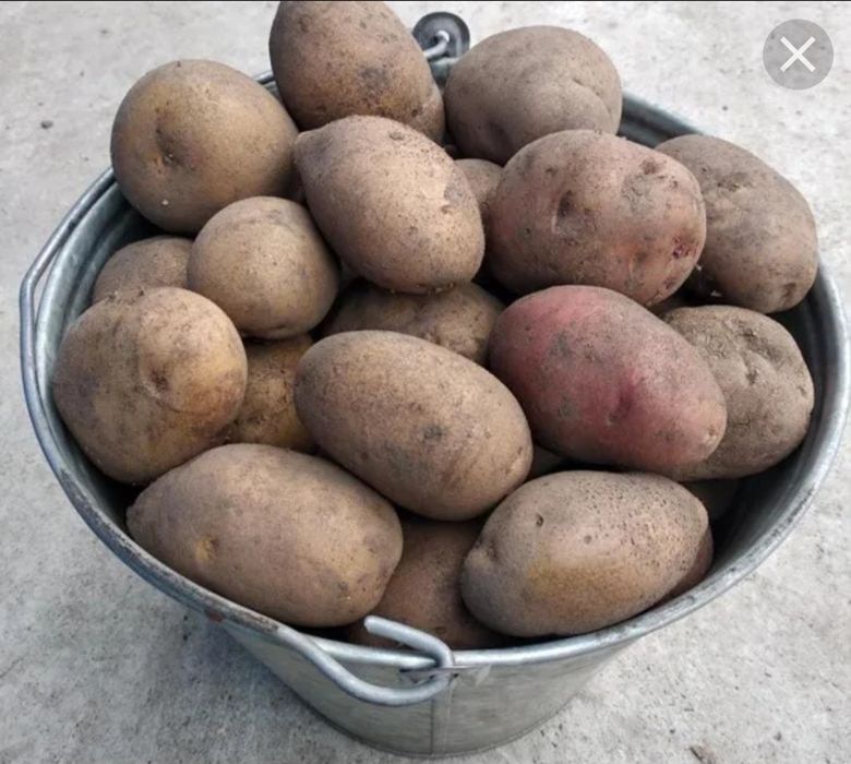 Продукты питания