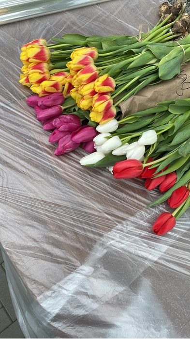 Тюльпаны в розницу