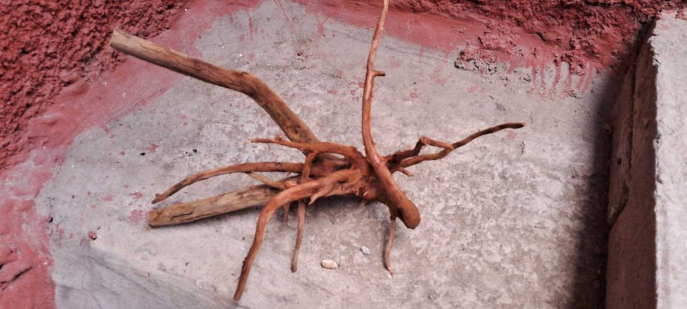 Коряги в аквариум