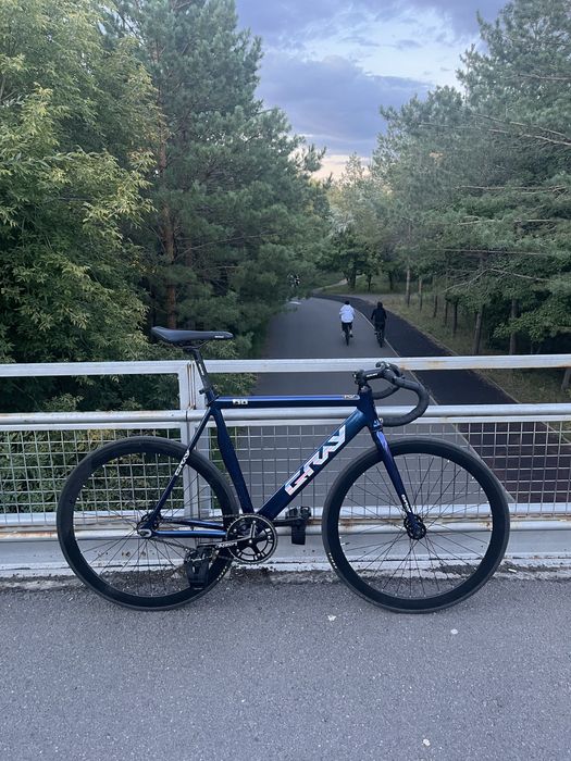 Fixe gear bike gray F10