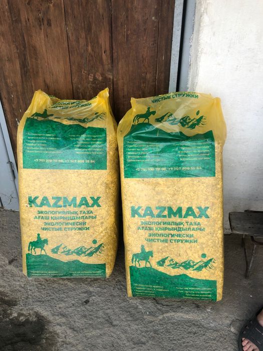 Стружка из сосны