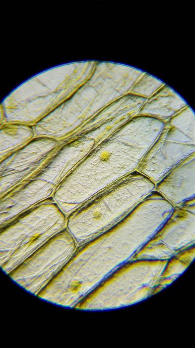 микроскоп СССР ( советский )