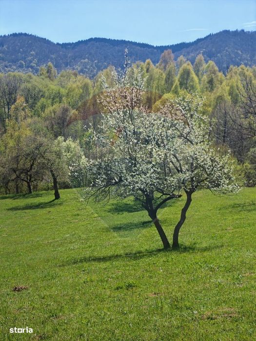 Ocazie! Teren 9735 mp Bran- Predelut / Strada Pe Tarina nr. 70A