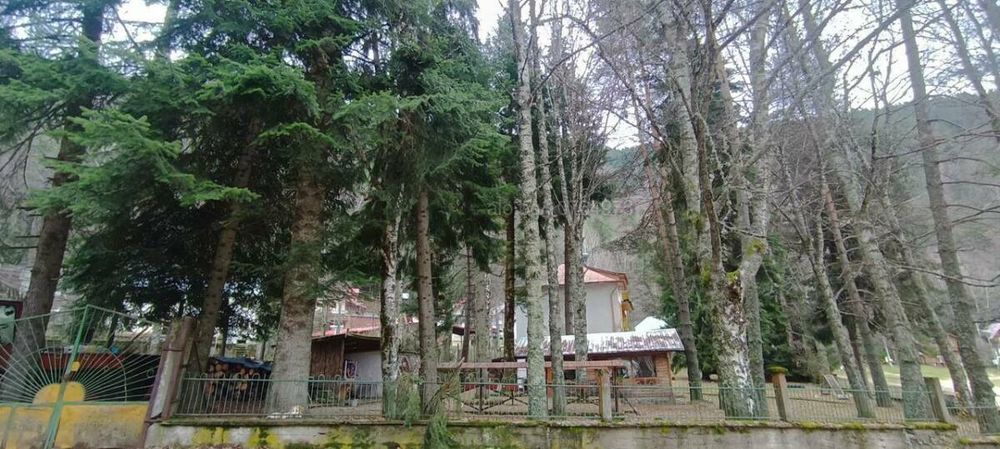 Продава се Къща в с. Лиляново, Област Благоевград - 115 кв.м за 1478 €/кв.м - Снимка #11