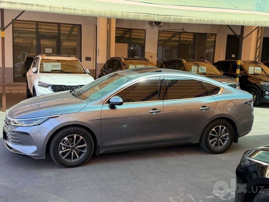 Byd Chazor 2026 2 lux pz