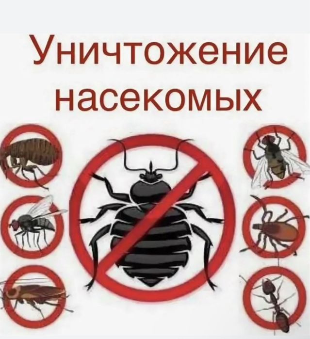 Обработка от термитов/ дезинфекция