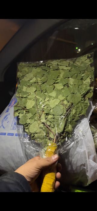 березовый веники