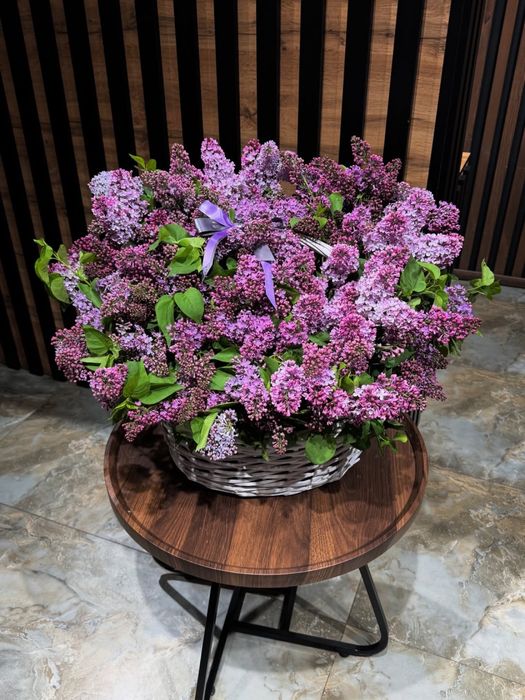 Сирень свежая пушистая