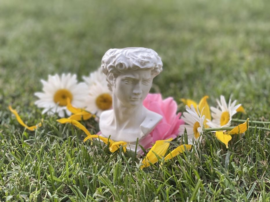 Ghivece plante suculente cactusi marturii decorațiuni handmade ipsos