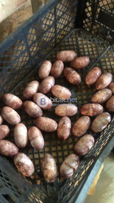 Тапи за риболовни мрежи