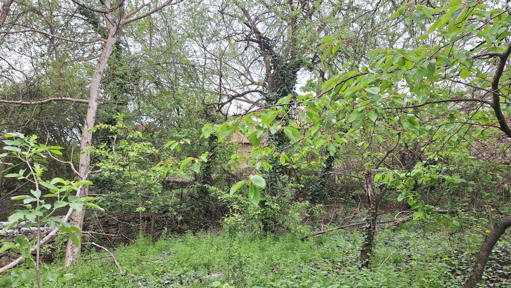 Продава се Къща в с. Буря, Област Габрово - 136 кв.м за 289 €/кв.м - Снимка #13