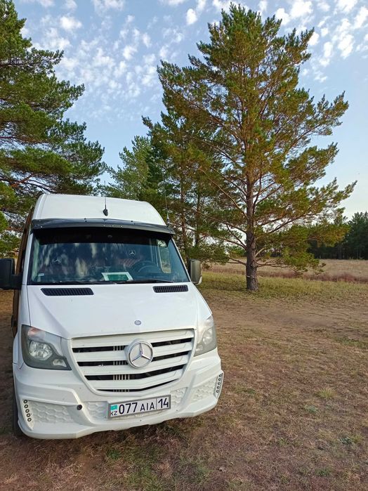 Пассажирские перевозки