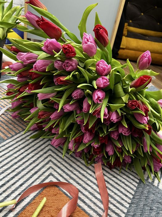 Тюльпаны тюльпаны