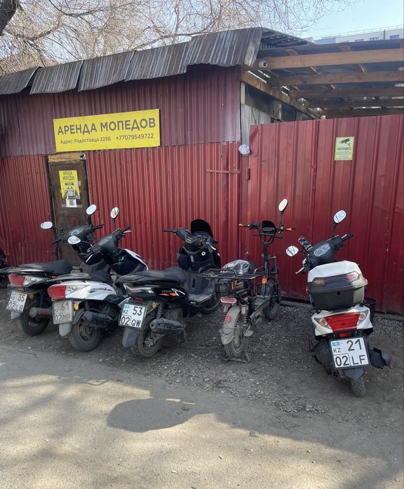 Аренда мопедов самурай