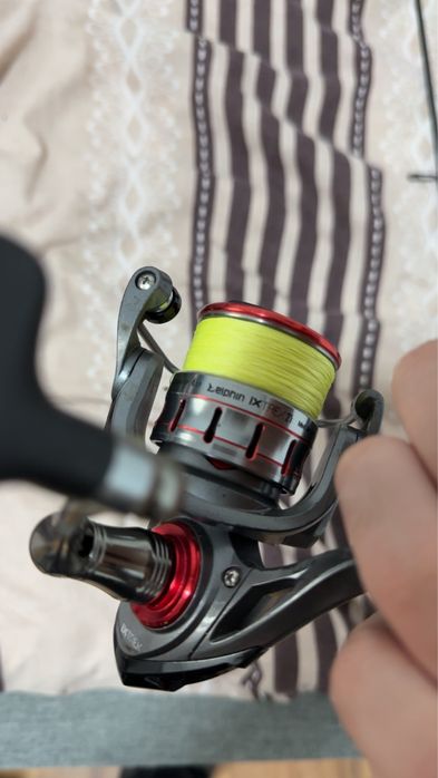 Combo Spinning Delphin