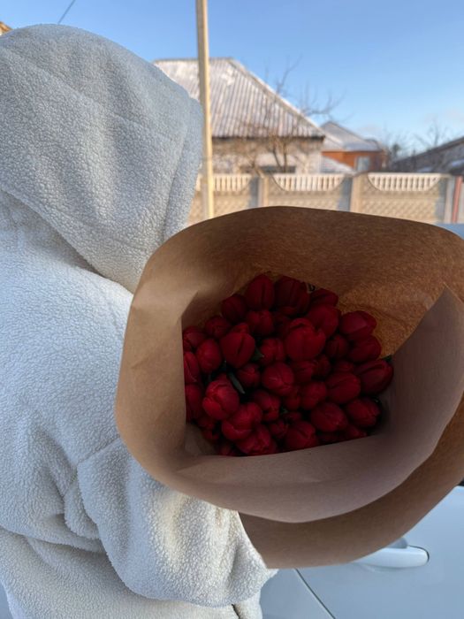 Продам цветы тюльпаны