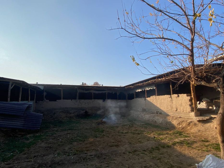 Samarqand viloyati Pastdargʻom tumani Safhoz qishloği