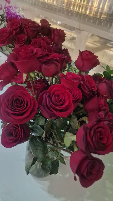 Продам розы 51шт