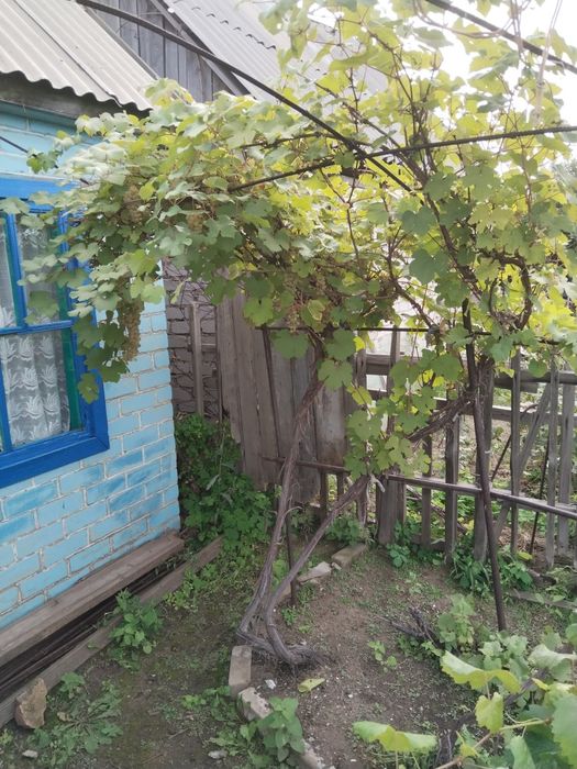 Продам дачу на Сад Нефтянике