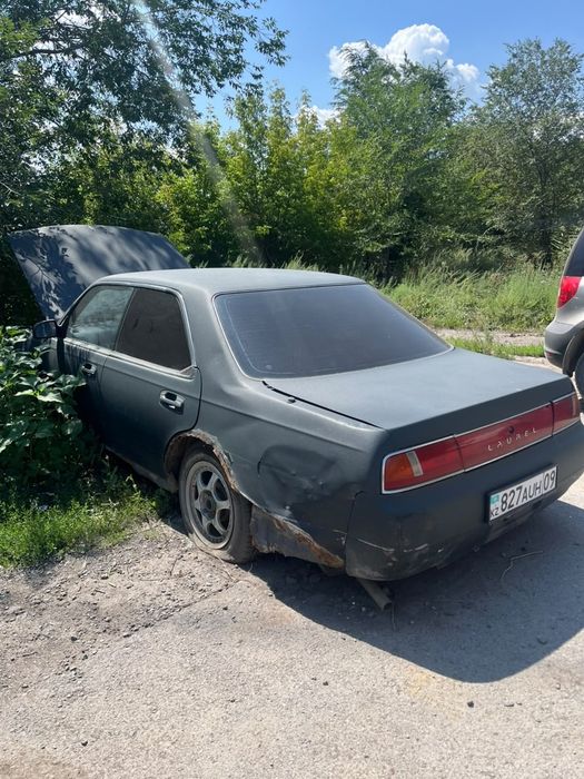 Лаурель с34 продам