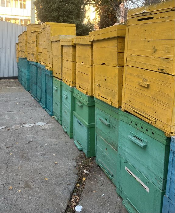 Продам улья для пчел