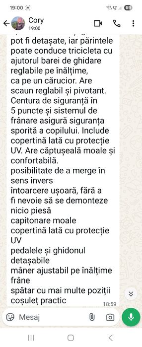 Tricicleta pentru copii