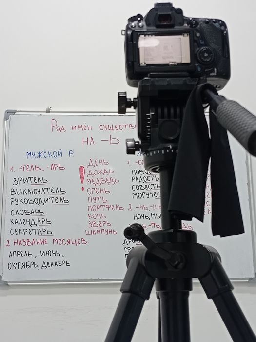 Индивидуальный репетитор по русскому языку