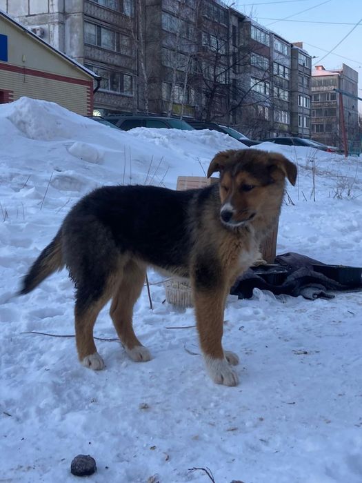 Дружные, весёлые, неразлучные.