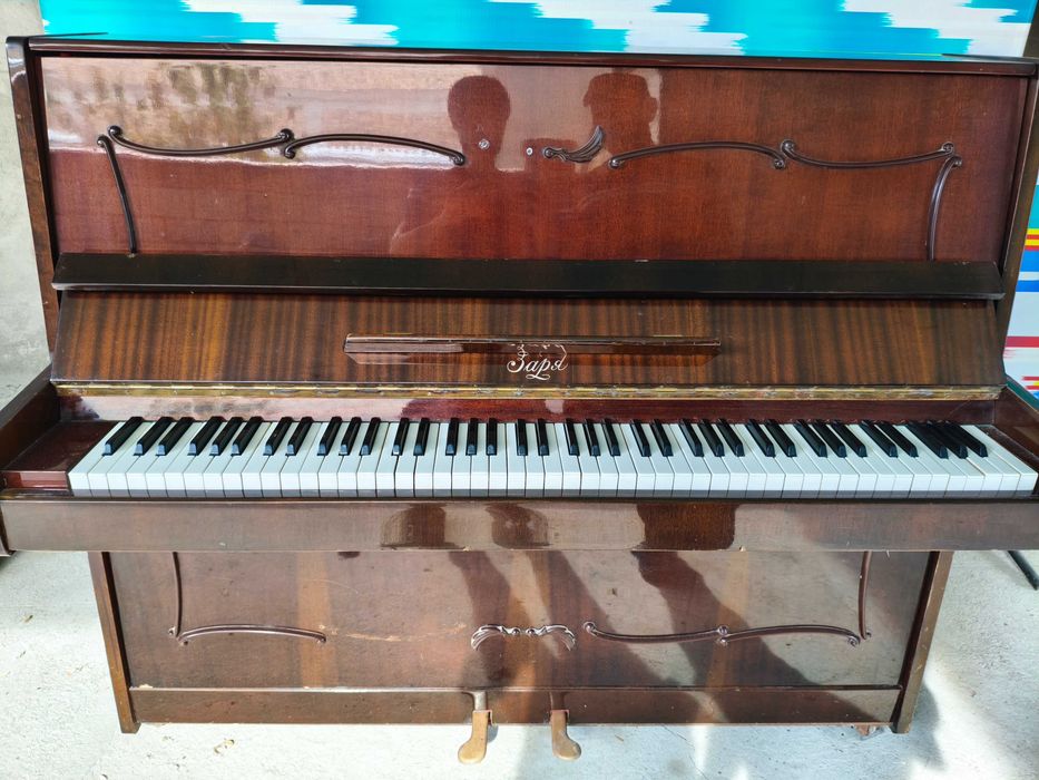 Pionina zara sotiladi