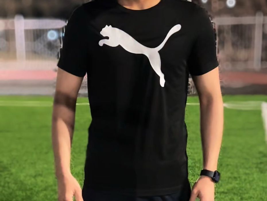 оригинальные футболки пума